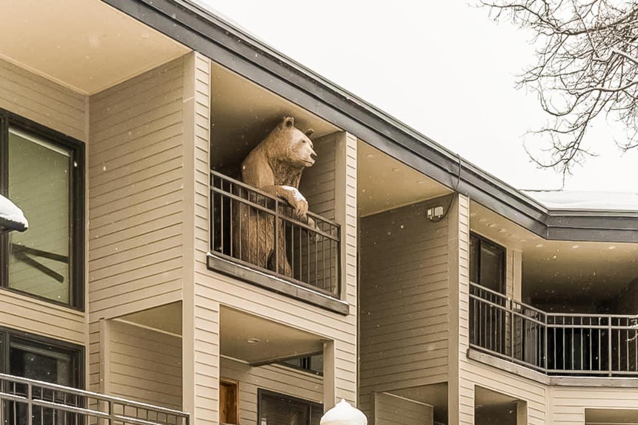Cimarron Mountain Retreat Appartement Telluride Buitenkant foto